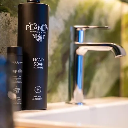 Boutique Planlim Hotell 3*